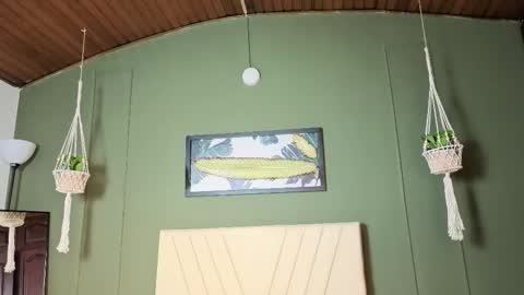 Lila online show from December 20, 8:40 am