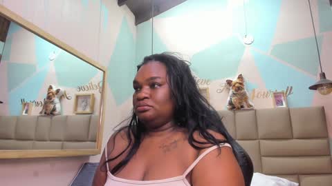 Lily online show from February 8, 9:46 am