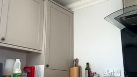 Lilsss online show from March 19, 1:04 pm