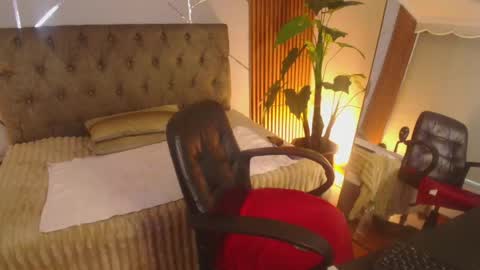 LINCE online show from May 28, 1:42 pm