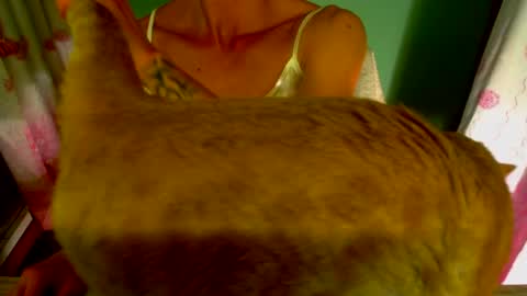 Snapshot of lisstaylor chatting on January 5, 2:06 am Liss online show from January 5, 2:06 am