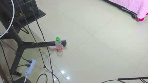 Alis online show from February 8, 11:55 am