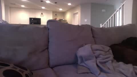 littlelovergirllindz online show from February 21, 10:21 pm