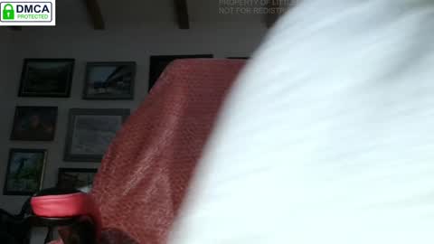 Snapshot of littlepistol chatting on February 7, 1:43 pm Miss D Shows Mon Wed Fri online show from February 7, 1:43 pm
