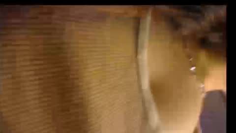 Snapshot of lizzie_collin chatting on September 29, 2:11 pm Lizzie online show from September 29, 2:11 pm