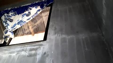 tey online show from February 19, 1:08 am