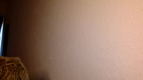 agnes online show from December 2, 11:05 pm