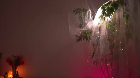 Lorrie online show from October 6, 8:09 am