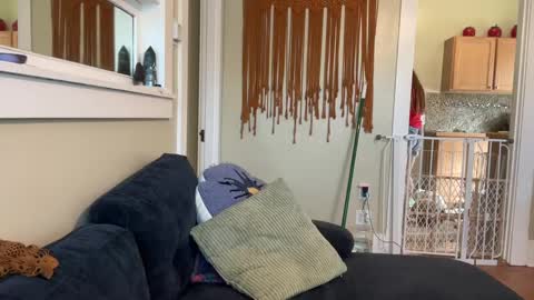 lex online show from October 8, 6:56 pm