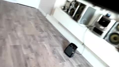 Flora online show from March 22, 8:20 am