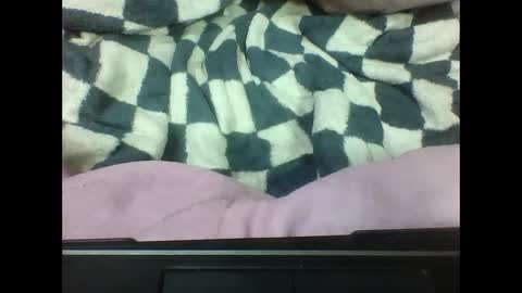 lovaelisa online show from November 15, 8:04 am