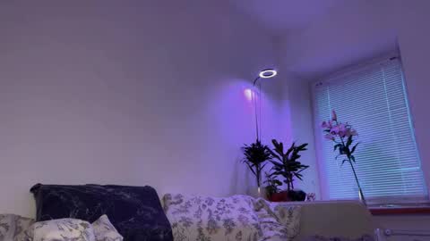 Elsa online show from December 3, 11:01 am