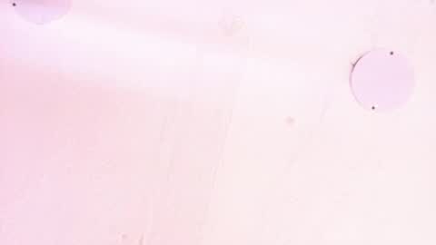 L O V E  online show from April 16, 12:05 pm