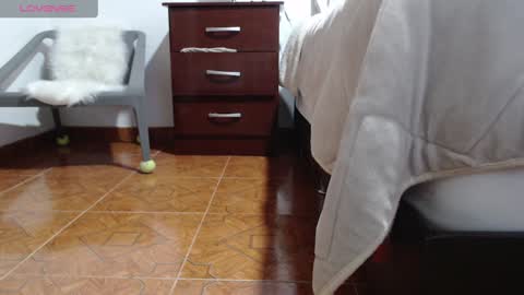 Snapshot of lucy_joi chatting on January 23, 2:12 am Luciana online show from January 23, 2:12 am