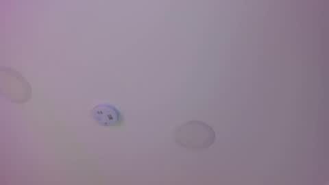 Snapshot of luisah_ chatting on February 16, 8:33 pm L U I S A online show from February 16, 8:33 pm
