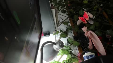 Snapshot of lunacristal_moon chatting on March 3, 3:49 am lunacristal_moon online show from March 3, 3:49 am