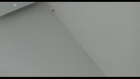 lunaviceht online show from July 28, 5:13 pm