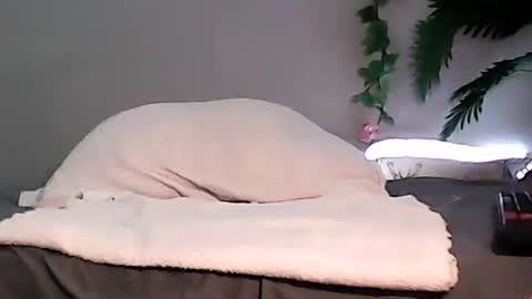 Bee Bee online show from September 10, 4:01 am