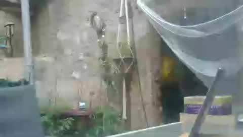 mad2moi online show from June 16, 7:04 pm