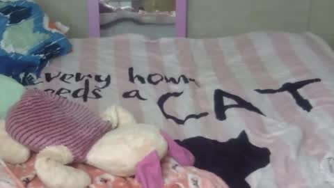 maferchavez88 online show from February 9, 2:14 am