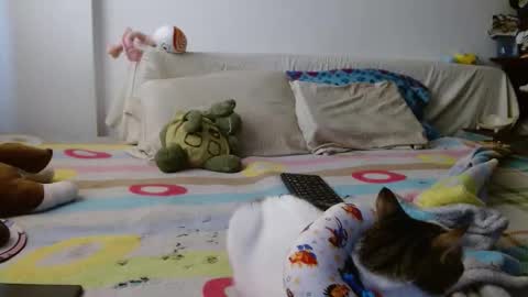 Malita online show from November 24, 8:33 pm