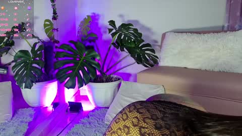 Snapshot of mandy_l33_ chatting on December 21, 11:13 pm mandy_l33_ online show from December 21, 11:13 pm