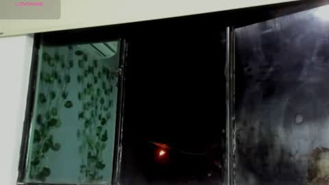 marly online show from February 24, 2:49 am