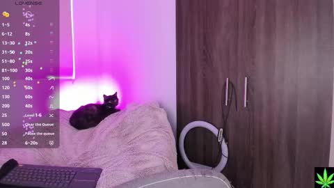 Mary Jane  online show from October 1, 10:15 pm