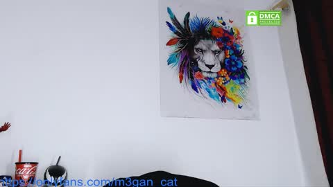 megan_cat online show from December 3, 11:56 am