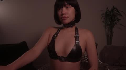  for more 3 online show from October 26, 2:29 am