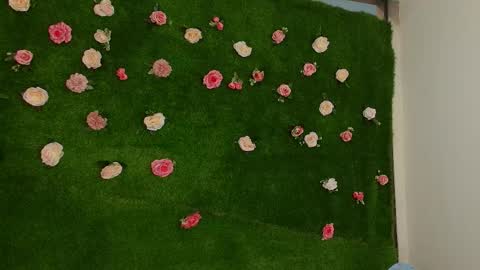 megatitts_ online show from April 1, 1:41 pm