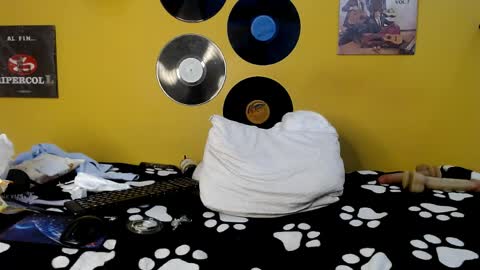 MEIS online show from April 21, 2:51 am