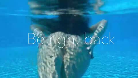 Snapshot of melanybunny chatting on October 24, 8:05 pm Adel online show from October 24, 8:05 pm