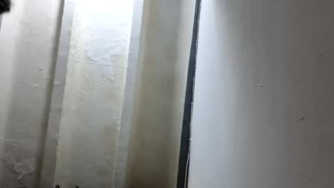 melodycharlotte online show from November 18, 11:11 am