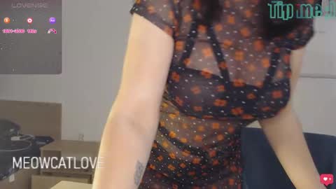 Snapshot of meowcatlove chatting on December 4, 9:02 pm meowcatlove online show from December 4, 9:02 pm
