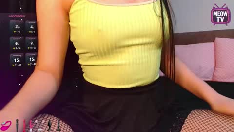 meowkami online show from October 15, 12:13 am