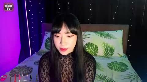 meowkami online show from July 21, 12:33 am