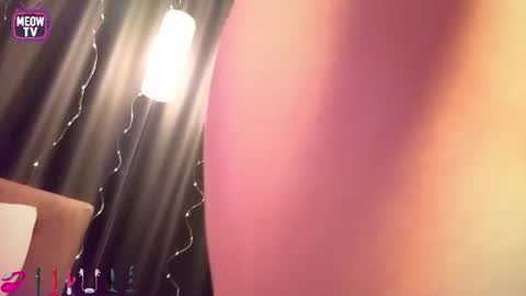 meowkami online show from July 5, 12:06 am