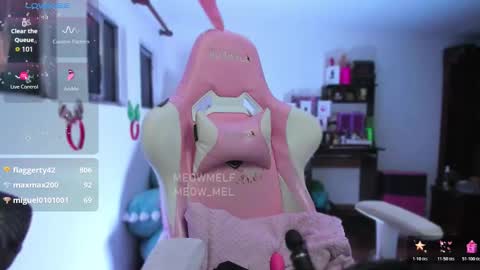 meowmelf online show from January 14, 3:44 am