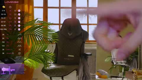 Stella online show from February 10, 10:18 am