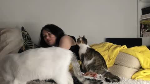 MIA online show from January 14, 4:17 am