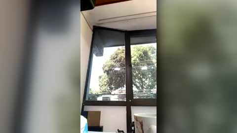 michelleblair1 online show from July 27, 3:53 pm