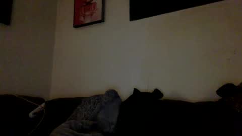 BabygirlsFreaky online show from March 10, 12:53 pm