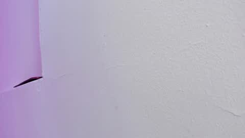 miller_silvana online show from July 29, 11:54 am