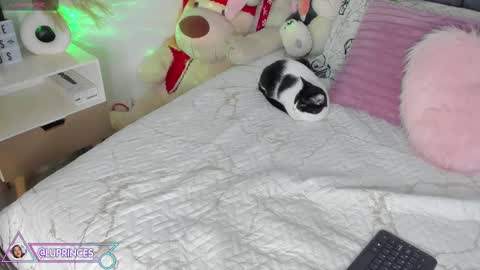 Snapshot of miss_brunette_ chatting on February 25, 11:37 pm lucy 3 online show from February 25, 11:37 pm