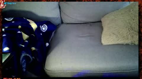 Miss Cochonne --  1969  custom vids  SNAP 799 or VIP  is 1345 for life and request or 1699  screenshot allowed  online show from June 26, 10:00 pm