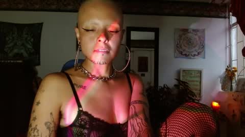 Anarkitten  online show from April 14, 10:54 pm