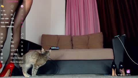 Snapshot of missannoil chatting on December 14, 3:47 pm MissAnn online show from December 14, 3:47 pm