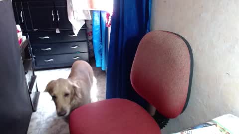 Snapshot of missgomezz_ chatting on October 14, 4:42 pm Maria Gomezz online show from October 14, 4:42 pm
