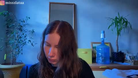 Zlata online show from November 15, 11:33 am